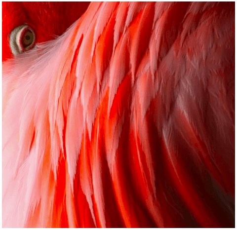 Mood Board SS19 - Lison Paris