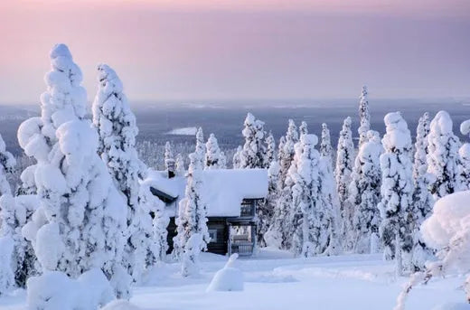 Snow-covered forest and wooden cabin at sunrise in winter landscape, Lapland travel