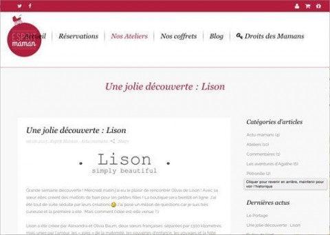 Blog page reviewing Lison, featuring text content and website navigation menu on screen.