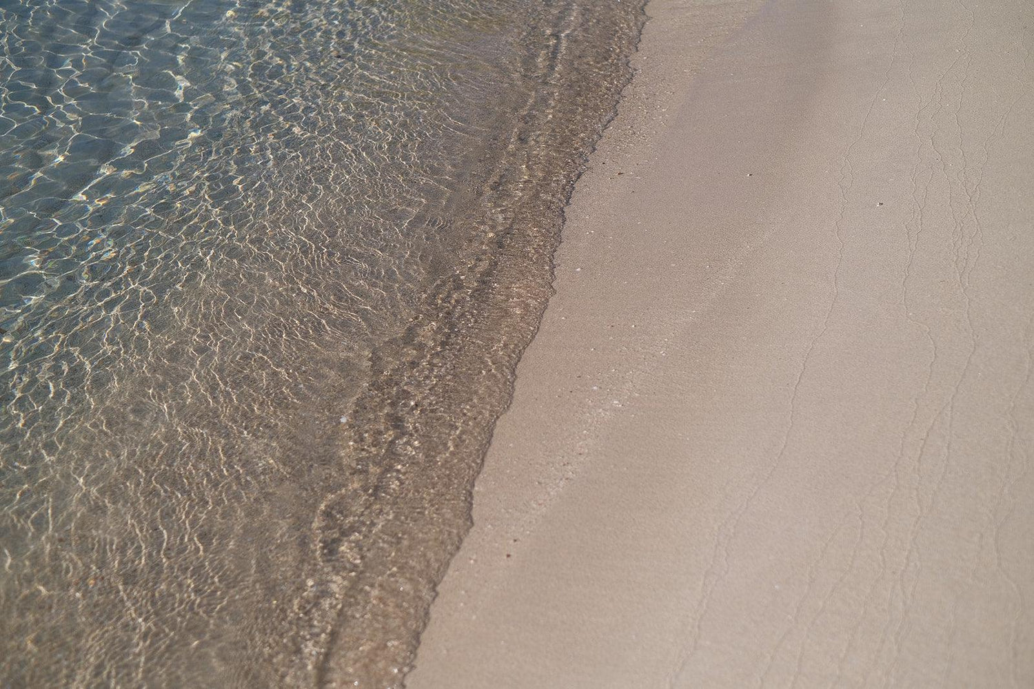 Clear water meeting sandy beach shoreline under sunlight