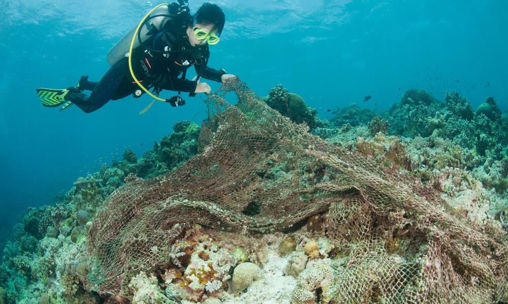 Le Recyclage Filets fantômes : Fléau silencieux des mers - Lison Paris