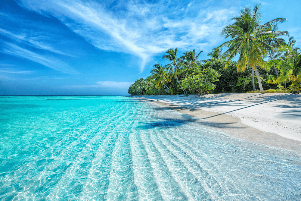 Crystal clear turquoise water and white sandy beach with palm trees under a bright blue sky