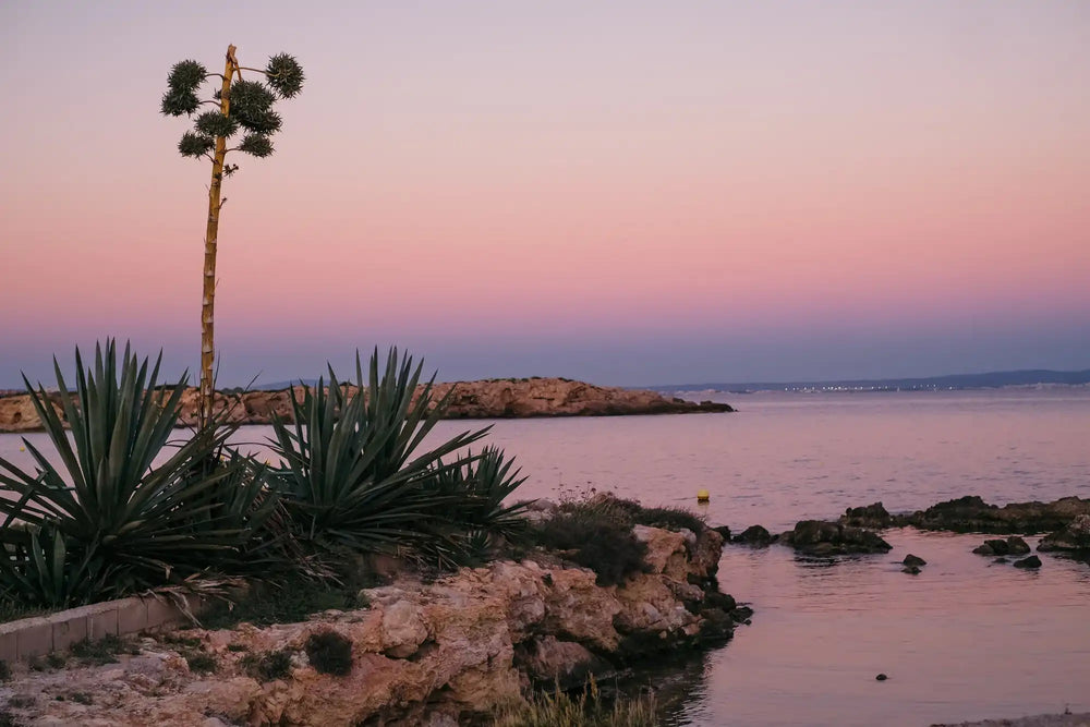 Maillot de bain une pièce manche longue, rose | GIGI BEBE
